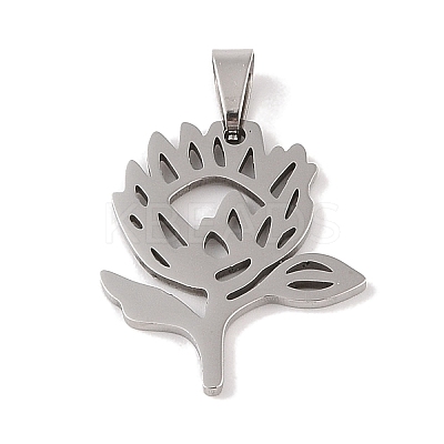 Non-Tarnish 201 Stainless Steel Pendants STAS-A094-21P-1