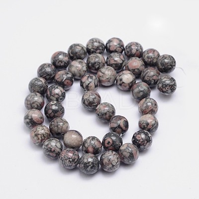 Round Natural Fossil Bead Strands G-L419-49A-1