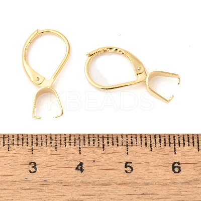304 Stainless Steel Leverback Earring Findings Ion Plating(IP) STAS-U025-01G-01-1