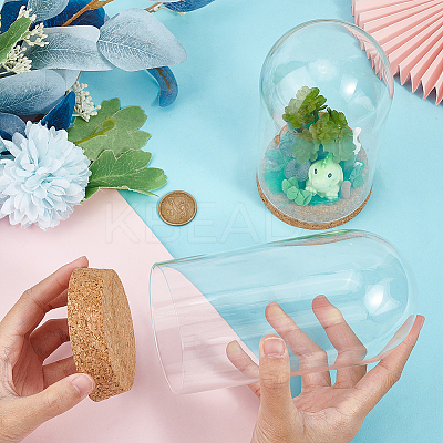 Glass Dome Cover LS-AJEW-WH0505-27-1