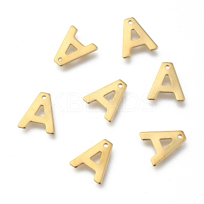 304 Stainless Steel Charms X-STAS-P141-A-1