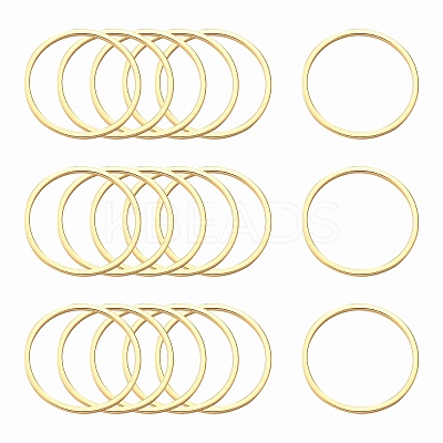 Ion Plating(IP) 304 Stainless Steel Linking Ring X-STAS-S079-13-B03-NF-1