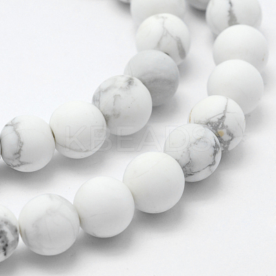 Natural Howlite Beads Strands G-F518-22-6mm-1
