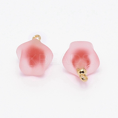 Resin Frosted Pendants MP-TAC0009-03E-1