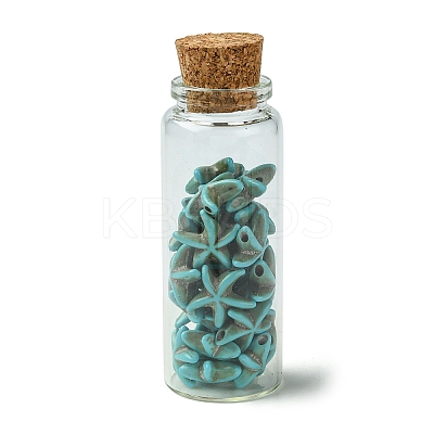 2Pcs Transparent Glass Wishing Bottle Decoration PALLOY-JF03374-1