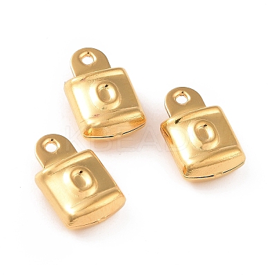 304 Stainless Steel Pendants STAS-D243-13G-1