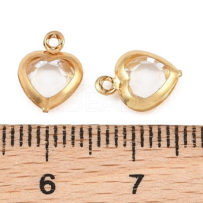 Valentine's Day 304 Stainless Steel & Glass Pendants STAS-Q119-01G-B01-1