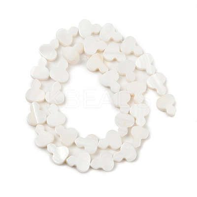 Natural Freshwater Shell Beads Strands SHEL-K010-02B-1