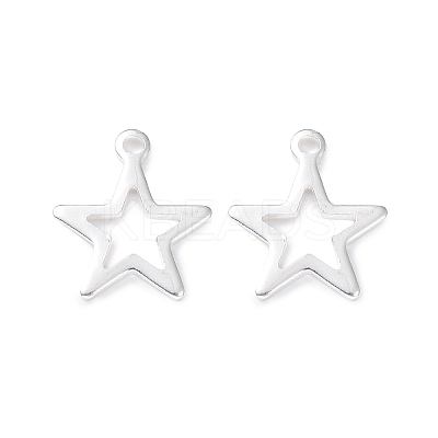 304 Stainless Steel Charms STAS-L234-095S-1