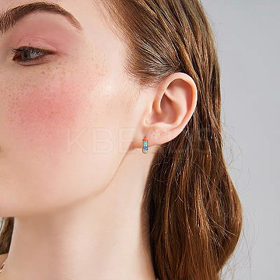 Enamel Striped Thick Hoop Earrings JE1110A-1