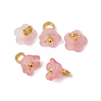 11Pcs Acrylic Flower Pendants PALLOY-JF03584-1
