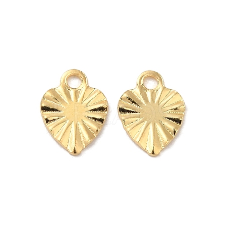 304 Stainless Steel Charms X-STAS-C080-03G-1