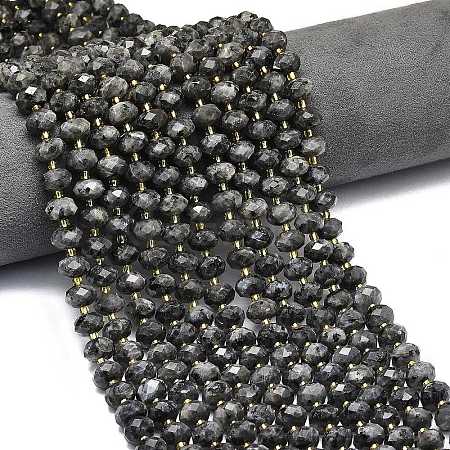 Natural Larvikite Beads Strands G-P573-A54-01-1