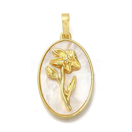 Brass Pave Shell Birth Flower Pendants FIND-I040-04J-1