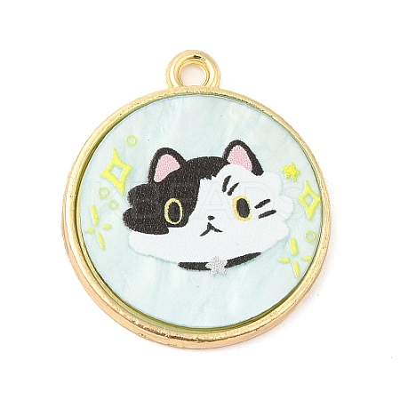 Alloy Pendants FIND-C037-15G-11-1