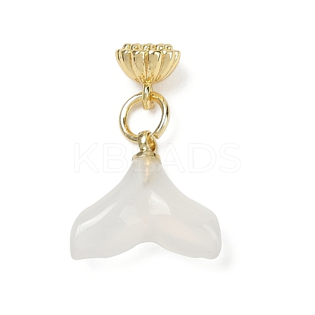 Natural White Agate Charms KK-Z094-04G-03-1