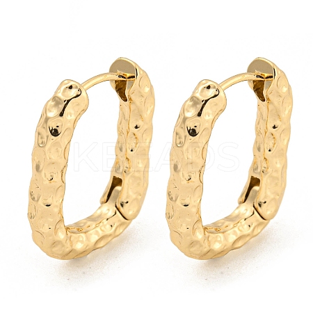 Alloy Hoop Earring EJEW-P269-20KCG-1