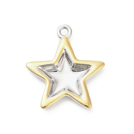 304 Stainless Steel Pendants STAS-P399-03C-1