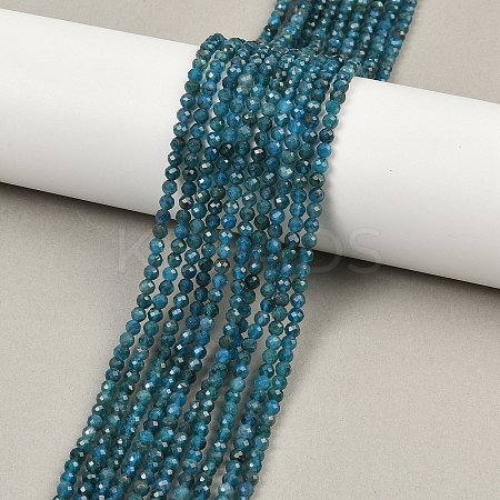 Natural Apatite Beads Strands X-G-E411-36-3mm-02-1