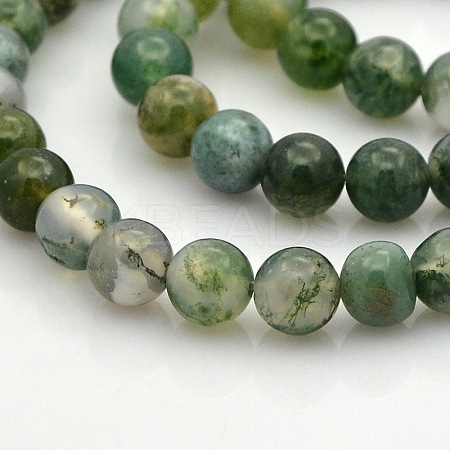 Natural Moss Agate Round Bead Strands G-N0120-30-6mm-1