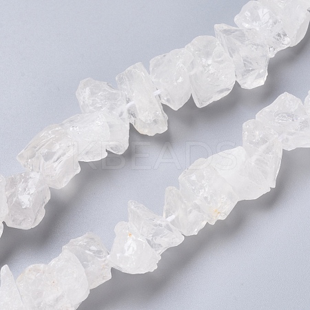 Natural Quartz Crystal Beads Strands G-I283-F06-1