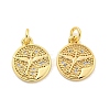 Brass Micro Pave Cubic Zirconia Pendants KK-Z044-28G-1