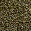 MIYUKI Round Rocailles Beads X-SEED-G007-RR4519-3