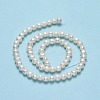 Natural Cultured Freshwater Pearl Beads Strands PEAR-F018-17E-01-3
