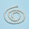 Natural Cultured Freshwater Pearl Beads Strands PEAR-F018-17E-01-3