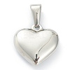 304 Stainless Steel Pendants STAS-P278-01J-P-2