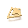 304 Stainless Steel Charms X-STAS-S144-01G-F-2