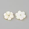 Natural Freshwater Shell Beads SHEL-Q008-53-2