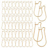 60Pcs 2 Style Surgical Stainless Steel Hoop Earrings Findings STAS-CN0001-03-1