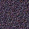 MIYUKI Round Rocailles Beads SEED-G007-RR1013-3