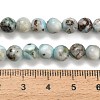 Natural Larimar Beads Strands G-L642-B19-6mm-5