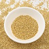 MIYUKI Delica Beads SEED-X0054-DB0031-2