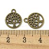 Tibetan Style Alloy Pendants  TIBE-I026-5990AB-3
