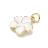 Brass Enamel Pendants KK-CBA3F25-07G-01-2