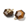 Natural Tiger Eye Faceted Pendants G-P585-01G-10-2