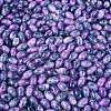 Glass Seed Beads SEED-T009-02M-3