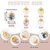 10 Pcs Natural Citrine & Amethyst & Rose Quartz & White Jade & Lapis Lazuli Pendants PALLOY-TA00205-4