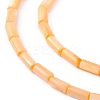 Natural Freshwater Shell Dyed Beads Strands SHEL-M018-11-02-3