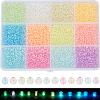 12 Colors Glow in the Dark Luminous Transparent 6/0 Glass Round Seed Beads GLAA-SC0002-06B-1