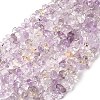 Natural Ametrine Beads Strands G-H315-A03-02-2