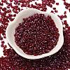 Spray Painted Glass Seed Beads SEED-F005-11A-01-2