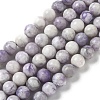 Natural Purple Turquoise Beads Strands G-L595-C04-01-1