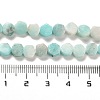 Natural Dolomite Beads Strands G-F765-G06-01-5