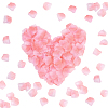 100G Satin Artificial Rose Petals DIY-SP0005-68G-1