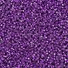 MIYUKI Delica Beads X-SEED-J020-DB0431-3