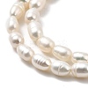 Natural Cultured Freshwater Pearl Beads Strands PEAR-I007-01N-01-4